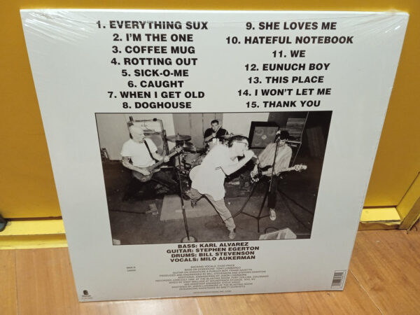 Descendents - Everything Sucks - Vinilo - Imagen 2