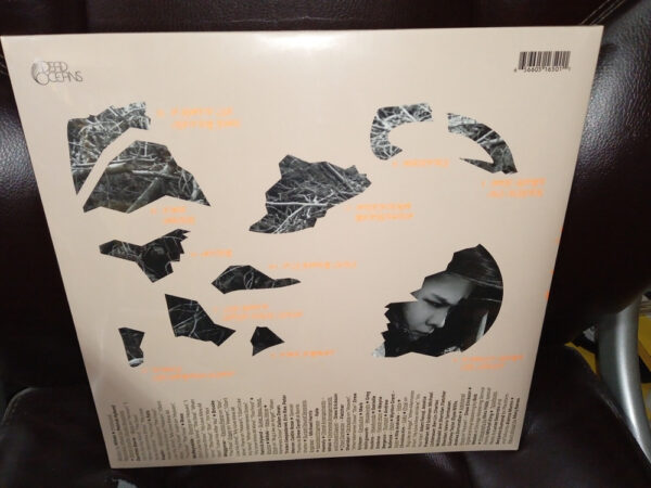 Mitski - The Land Is Inhospitable And So Are We - Vinilo - Imagen 3
